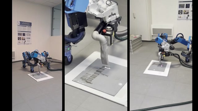 Aru - Decoating on the ground